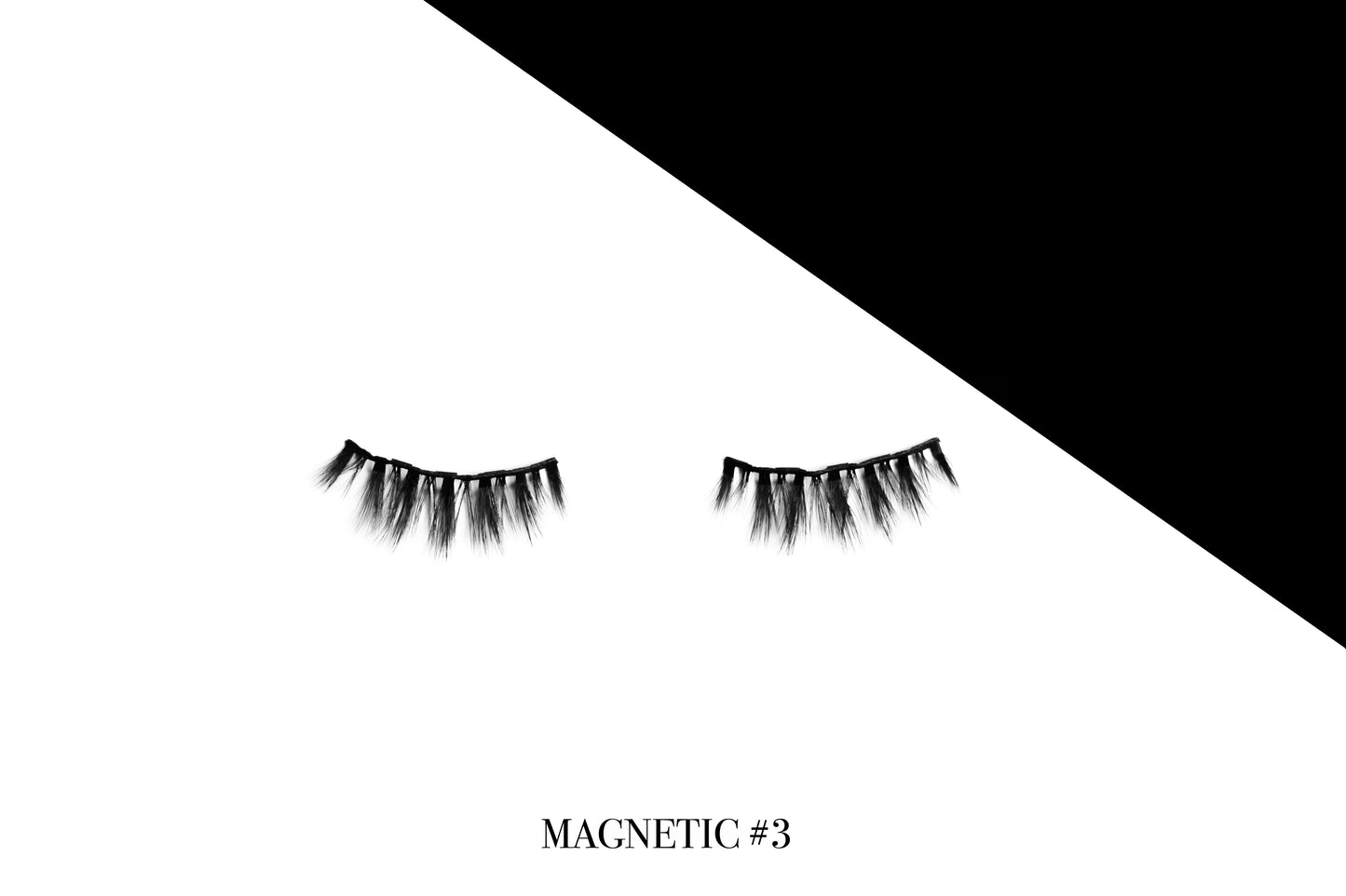 Magnetic Lash #3